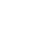 Safari