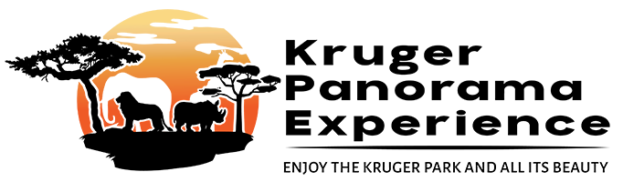 web-logo